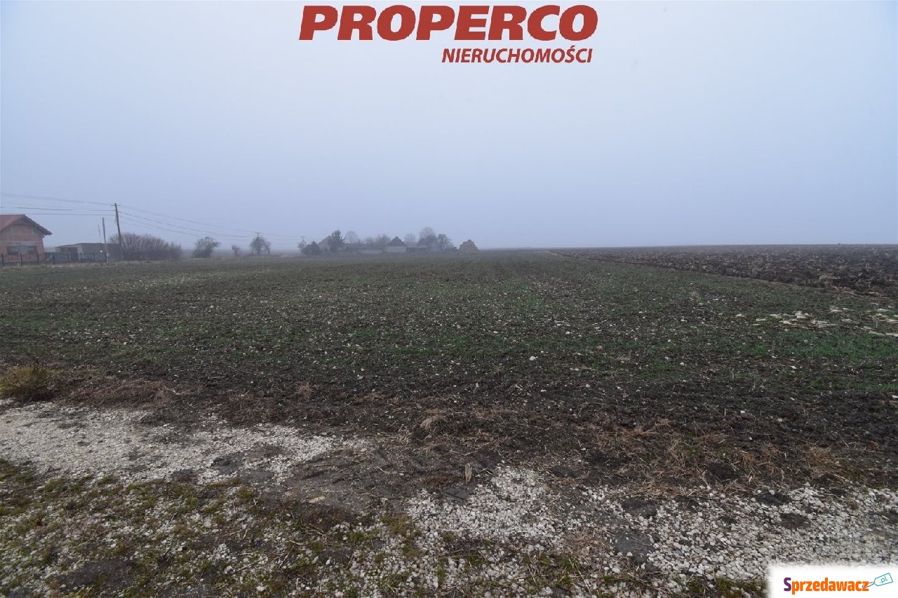 Działka 6200 m2, Potok Mały, gm....