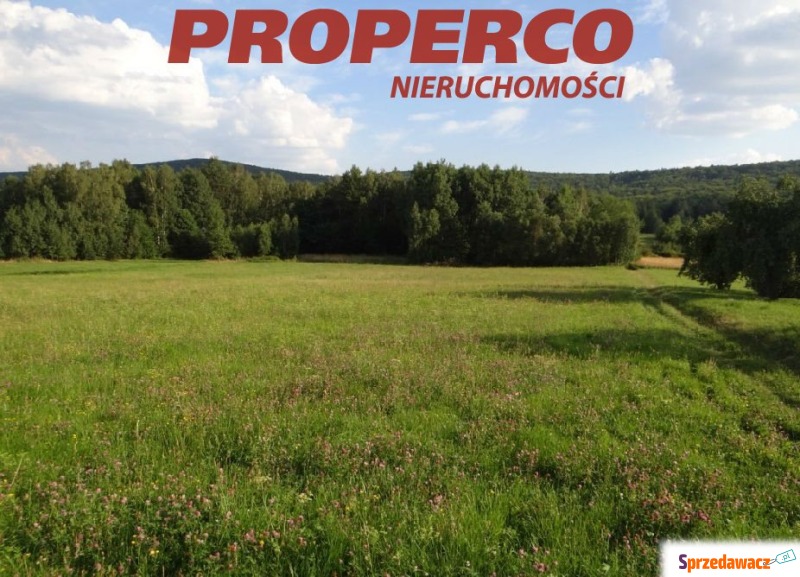 Działka 35 500 m2, Zagórze, gm....