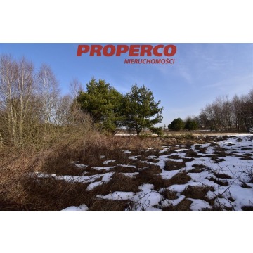 Działka Rykoszyn sprzedam, pow. 1217 m2  (12.2a), uzbrojona - zdjęcie 2