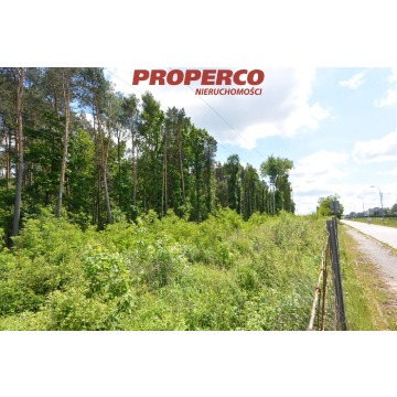 Działka Kielce sprzedam, pow. 4482 m2  (44.8a), uzbrojona - zdjęcie 2