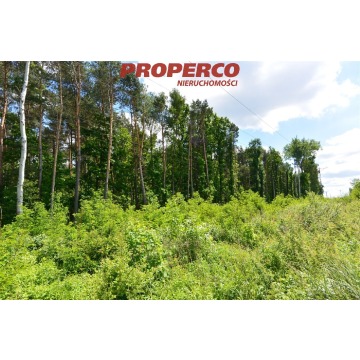 Działka Kielce sprzedam, pow. 4482 m2  (44.8a), uzbrojona - zdjęcie 3