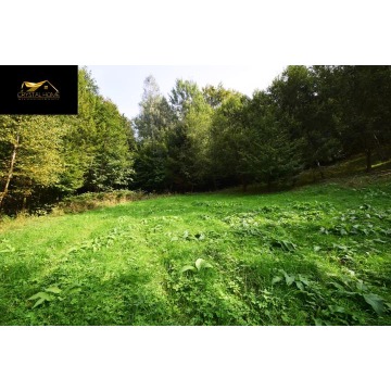 Działka budowlana Michałkowa sprzedam, pow. 14 966 m2  (1.5ha), uzbrojona - zdjęcie 6