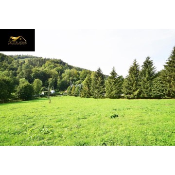 Działka budowlana Michałkowa sprzedam, pow. 14 966 m2  (1.5ha), uzbrojona - zdjęcie 2