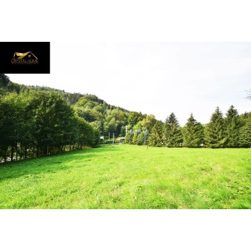 Działka budowlana Michałkowa sprzedam, pow. 14 966 m2  (1.5ha), uzbrojona - zdjęcie 3