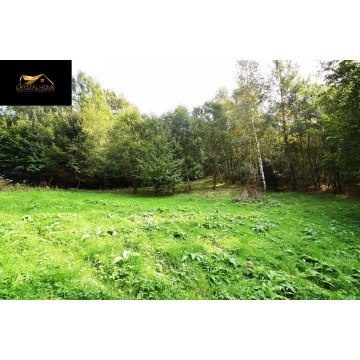 Działka budowlana Michałkowa sprzedam, pow. 14 966 m2  (1.5ha), uzbrojona - zdjęcie 5