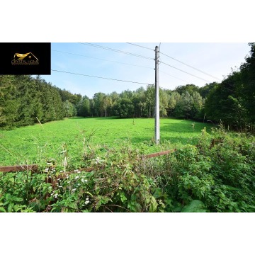 Działka budowlana Michałkowa sprzedam, pow. 14 966 m2  (1.5ha), uzbrojona - zdjęcie 7