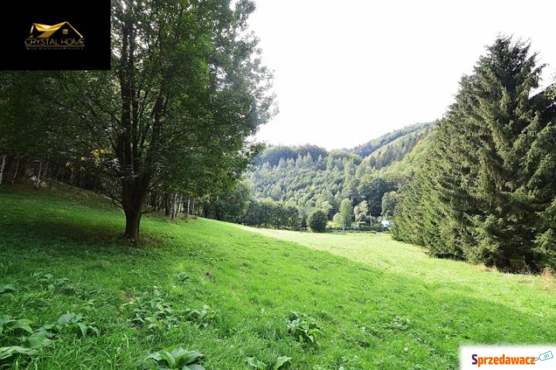 Działka budowlana Michałkowa sprzedam, pow. 14 966 m2  (1.5ha), uzbrojona