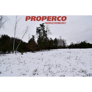 Działka Chęciny sprzedam, pow. 5900 m2  (59a), uzbrojona - zdjęcie 3