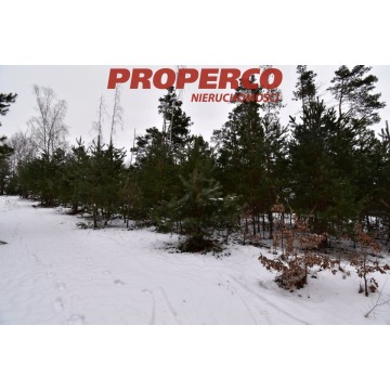Działka Chęciny sprzedam, pow. 5900 m2  (59a), uzbrojona - zdjęcie 4