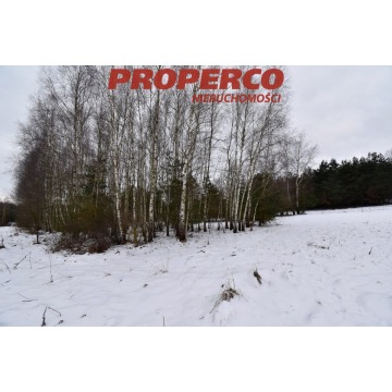 Działka Chęciny sprzedam, pow. 5900 m2  (59a), uzbrojona - zdjęcie 2