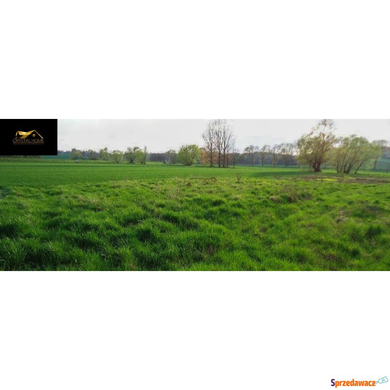 Działka budowlana Wierzbna sprzedam, pow. 2600 m2  (26a), uzbrojona