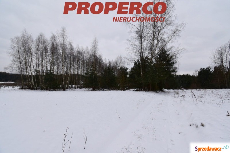 Działka Chęciny sprzedam, pow. 5900 m2  (59a), uzbrojona