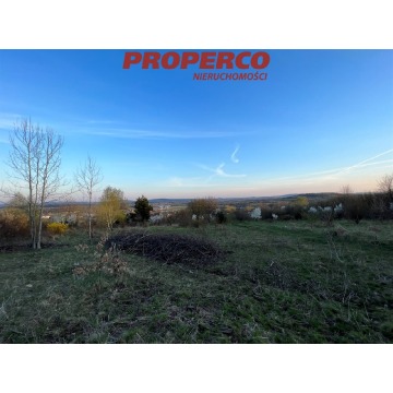 Działka Masłów Pierwszy sprzedam, pow. 11 316 m2  (1.13ha), uzbrojona - zdjęcie 2