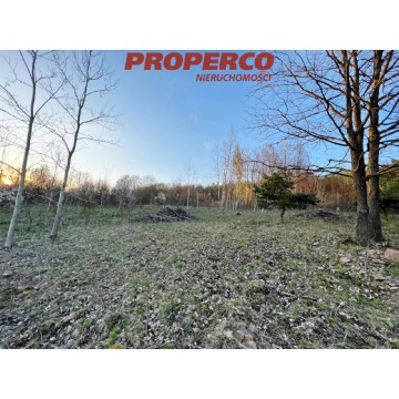 Działka Masłów Pierwszy sprzedam, pow. 11 316 m2  (1.13ha), uzbrojona - zdjęcie 6