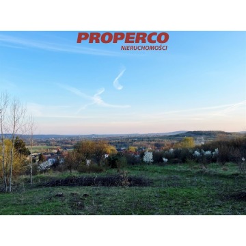 Działka Masłów Pierwszy sprzedam, pow. 11 316 m2  (1.13ha), uzbrojona - zdjęcie 3