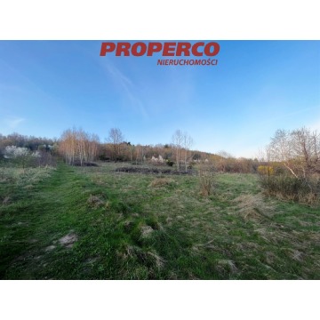 Działka Masłów Pierwszy sprzedam, pow. 11 316 m2  (1.13ha), uzbrojona - zdjęcie 4