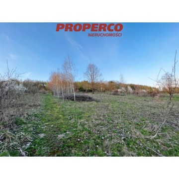 Działka Masłów Pierwszy sprzedam, pow. 11 316 m2  (1.13ha), uzbrojona - zdjęcie 5