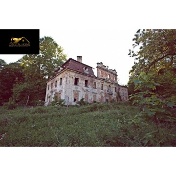 Pałac w Parchowie - Lokale użytkowe na s... - Parchów - zdjęcie 3