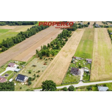Działka 13600m2, Snochowice gm. Łopuszno - Działki na sprzedaż - Snochowice - zdjęcie 2