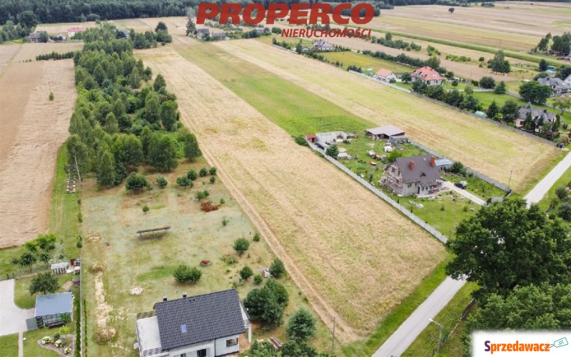 Działka 13600m2, Snochowice gm. Łopuszno - Działki na sprzedaż - Snochowice