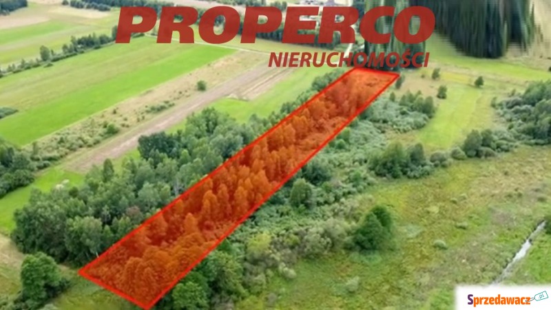Działka Snochowice sprzedam, pow. 11 100 m2  (1.11ha), uzbrojona