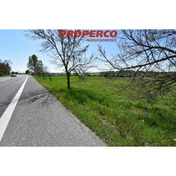 Działka Chmielnik sprzedam, pow. 7100 m2  (0.71ha), uzbrojona - zdjęcie 6