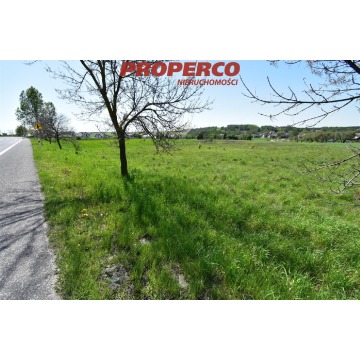 Działka Chmielnik sprzedam, pow. 7100 m2  (0.71ha), uzbrojona - zdjęcie 5