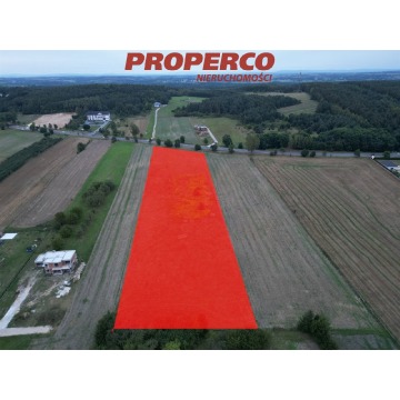 Działka Chmielnik sprzedam, pow. 7100 m2  (0.71ha), uzbrojona - zdjęcie 2