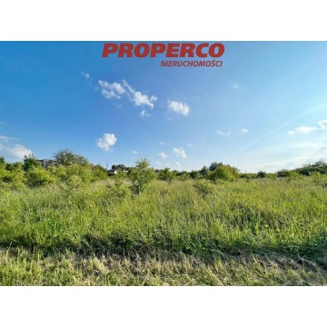 Działka Chęciny sprzedam, pow. 4900 m2  (49a), uzbrojona - zdjęcie 3