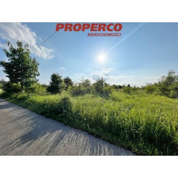 Działka Chęciny sprzedam, pow. 4900 m2  (49a), uzbrojona - zdjęcie 2