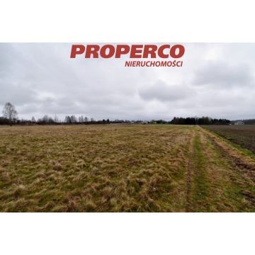 Działka Grzymałków sprzedam, pow. 21 600 m2  (2.16ha), uzbrojona - zdjęcie 4