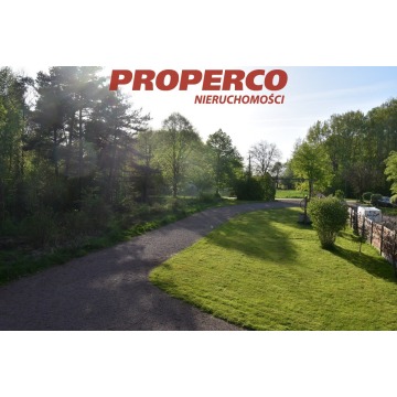 Działka Ciekoty sprzedam, pow. 6400 m2  (0.64ha), uzbrojona - zdjęcie 5