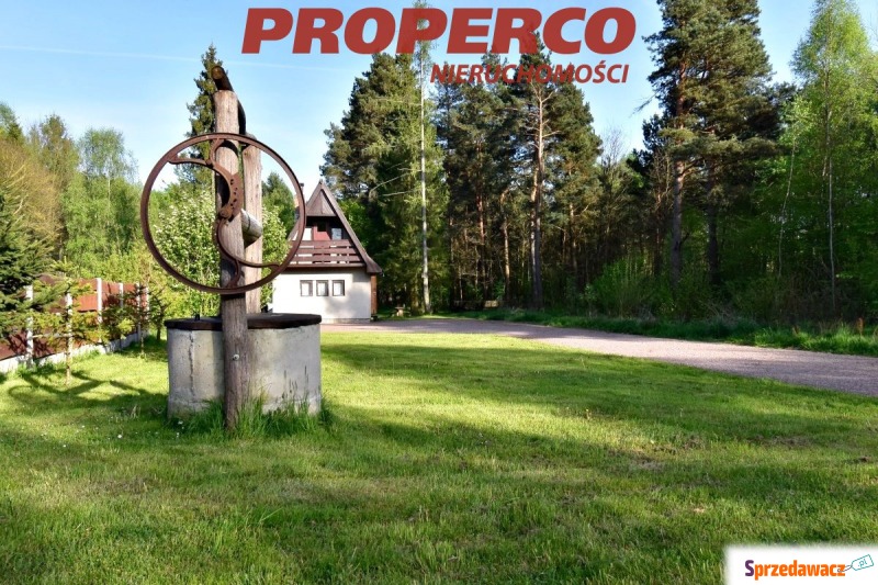 Działka Ciekoty sprzedam, pow. 6400 m2  (0.64ha), uzbrojona