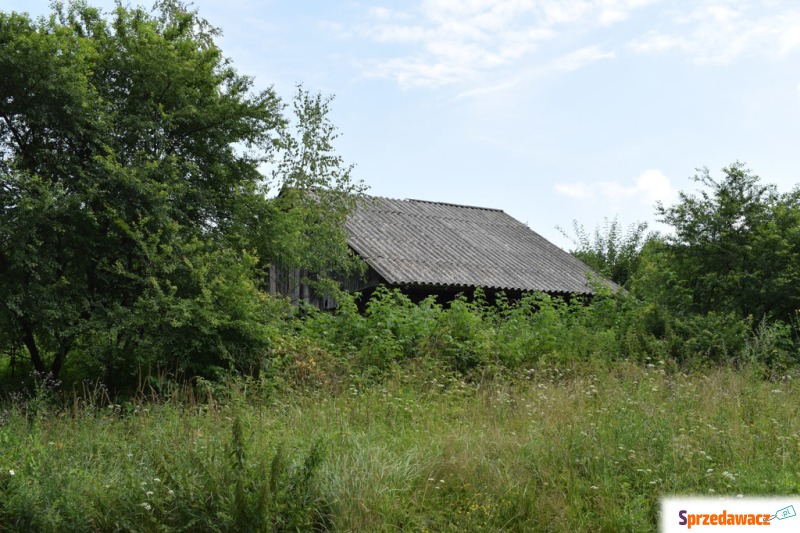 Działka 21a pod rekreację- Wesoła
