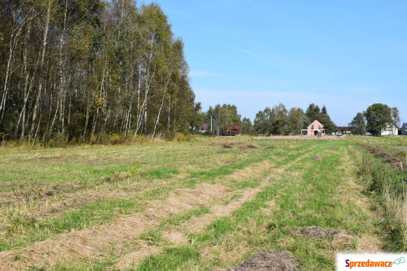 Działki budowlane 8a i 9.5a- B...