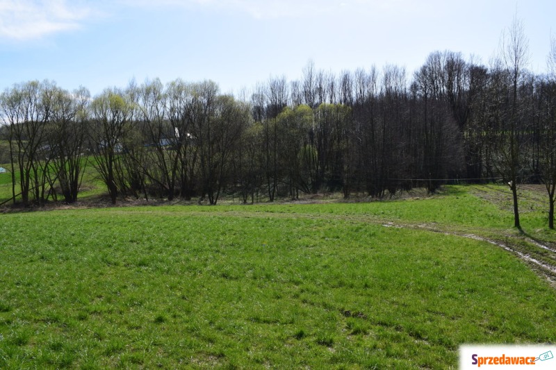 Działka rekreacyjna 40a- Manasterz