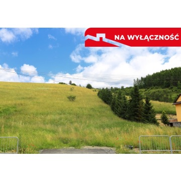 Działka Grywałd sprzedam, pow. 2616 m2  (26.2a) - zdjęcie 2