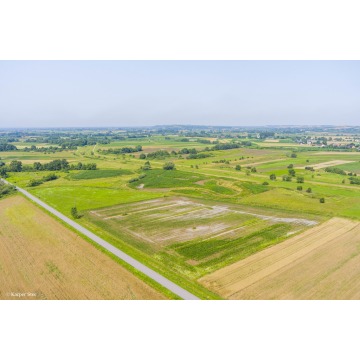 Działka rolna Kwików sprzedam, pow. 3600 m2  (36a) - zdjęcie 3