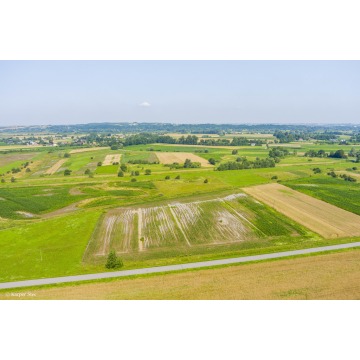 Działka rolna Kwików sprzedam, pow. 3600 m2  (36a) - zdjęcie 2