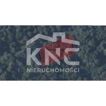 Działka leśna Nienadowa sprzedam, pow. 9000 m2  (0.9ha) - zdjęcie 6