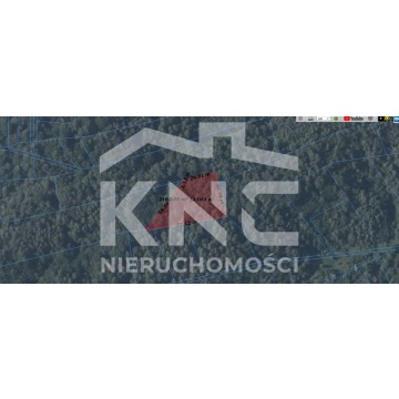 Działka leśna Nienadowa sprzedam, pow. 9000 m2  (0.9ha) - zdjęcie 2