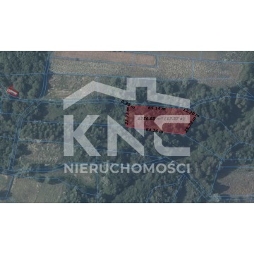 Działka leśna Nienadowa sprzedam, pow. 9000 m2  (0.9ha) - zdjęcie 4