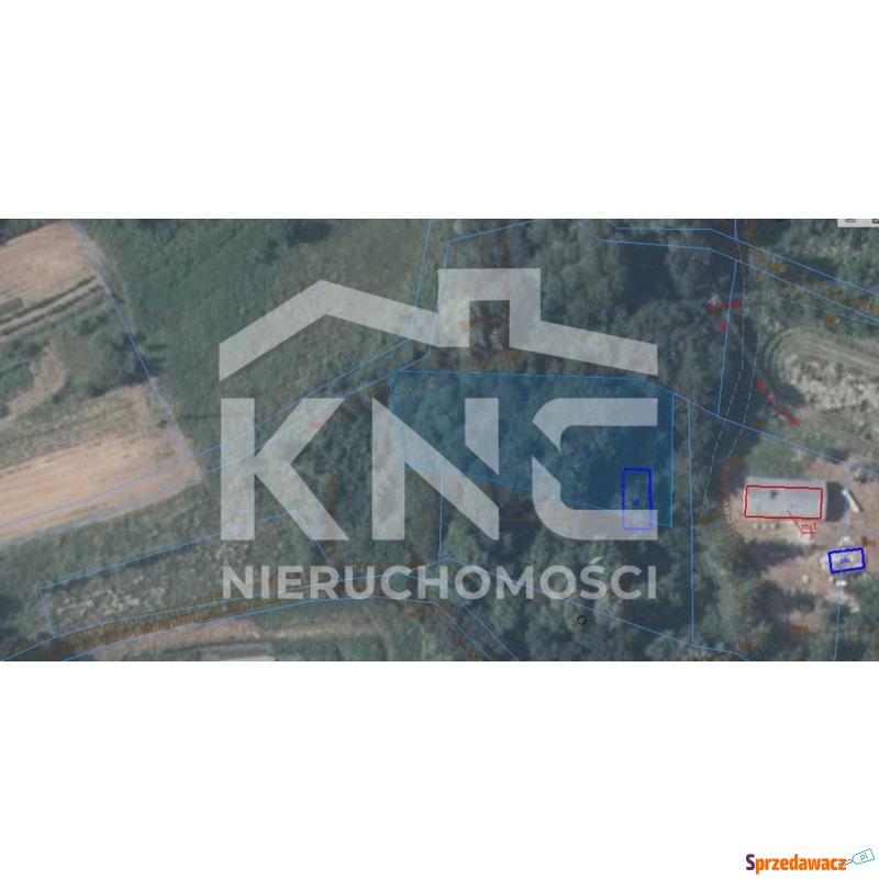 Działka leśna Nienadowa sprzedam, pow. 9000 m2  (0.9ha)