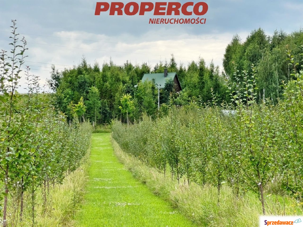 Działka 13100m2, Radkowice gm....