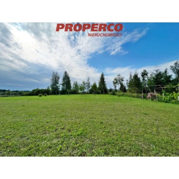 Działka Chęciny sprzedam, pow. 13 100 m2  (1.31ha), uzbrojona - zdjęcie 5