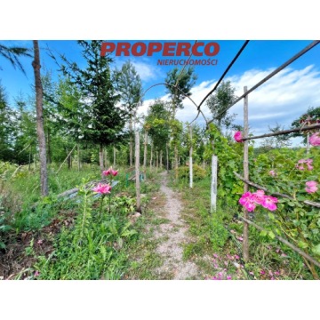 Działka Chęciny sprzedam, pow. 13 100 m2  (1.31ha), uzbrojona - zdjęcie 6
