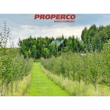 Działka Chęciny sprzedam, pow. 13 100 m2  (1.31ha), uzbrojona - zdjęcie 1