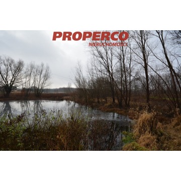Działka Chęciny sprzedam, pow. 7700 m2  (0.77ha), uzbrojona - zdjęcie 7