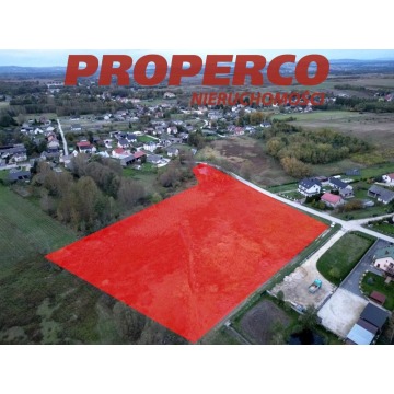 Działka Chęciny sprzedam, pow. 7700 m2  (0.77ha), uzbrojona - zdjęcie 4