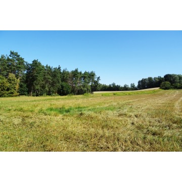 Działka rolna Gruta sprzedam, pow. 48 300 m2  (4.83ha) - zdjęcie 3